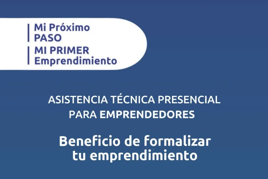 Asistencia técnica para emprendedores: oportunidades y beneficios