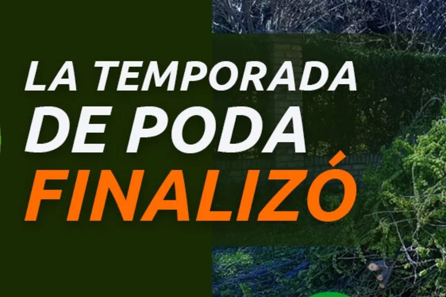Finalizó la poda y rige prohibición de extracción de árboles en Potrero