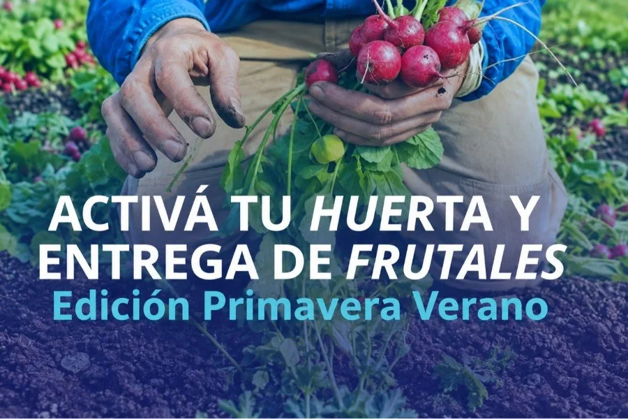 Frutales y semillas para huertas familiares en Potrero de los Funes