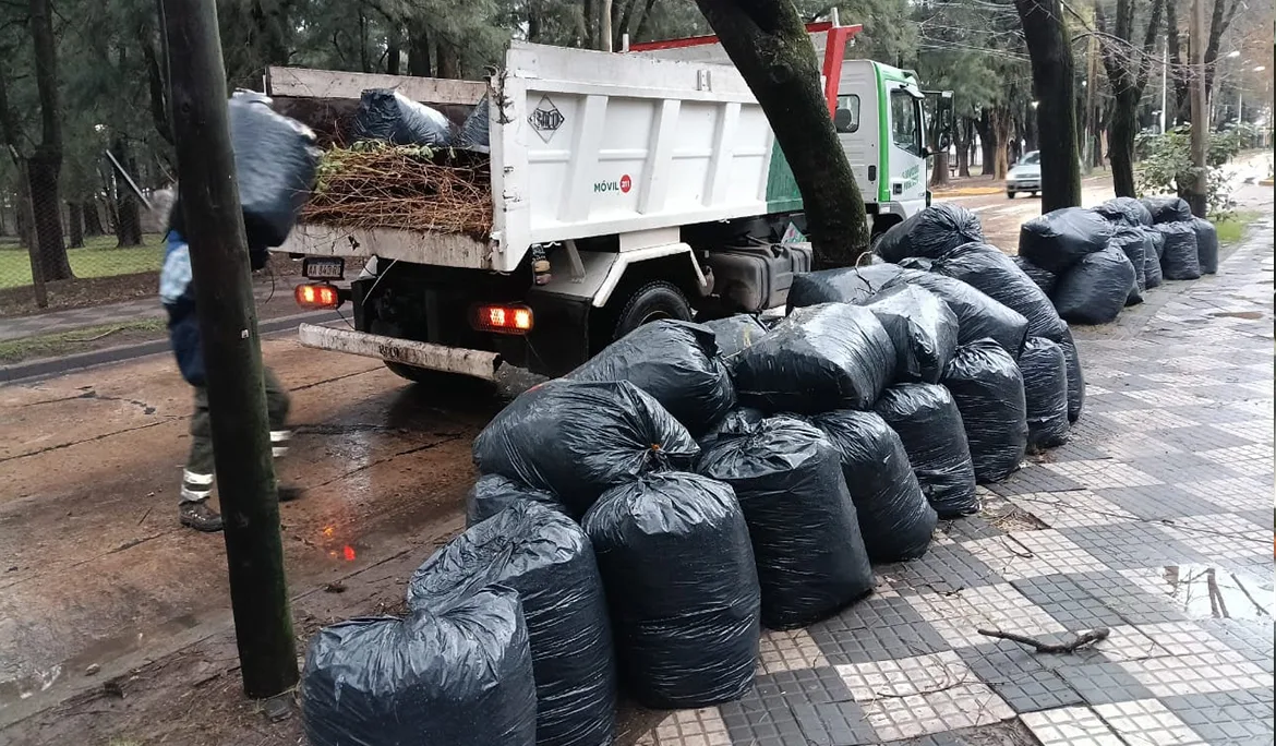 Limpieza y saneamiento en Esteban Echeverría tras el temporal