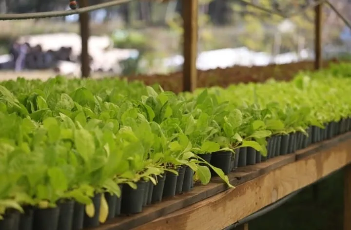 Capacitaciones gratuitas en Pinamar para producción sustentable