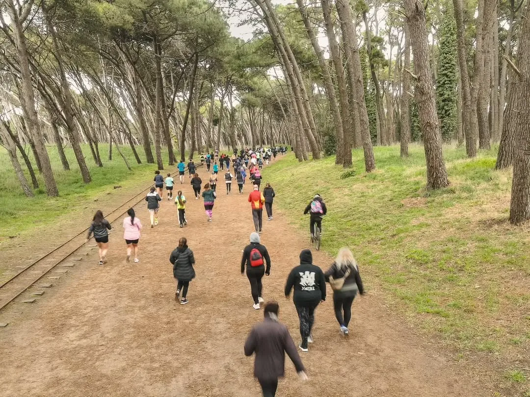 Actividades gratuitas para disfrutar en invierno en Necochea