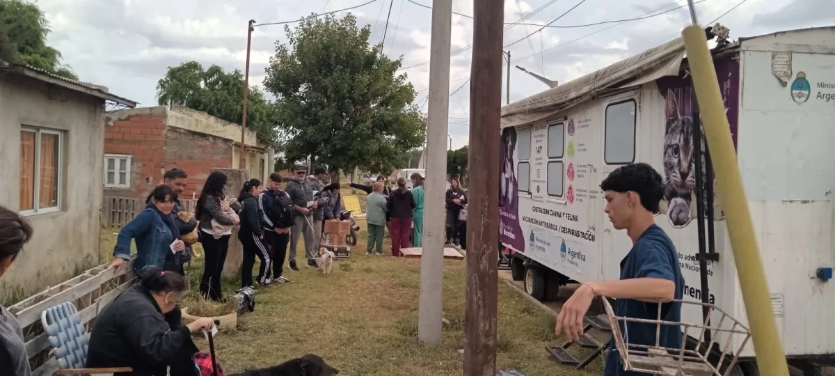 Castración gratuita de mascotas en Quequén el 27 de junio