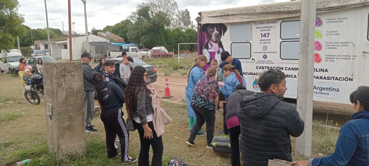 Castración gratuita de mascotas en Quequén este sábado