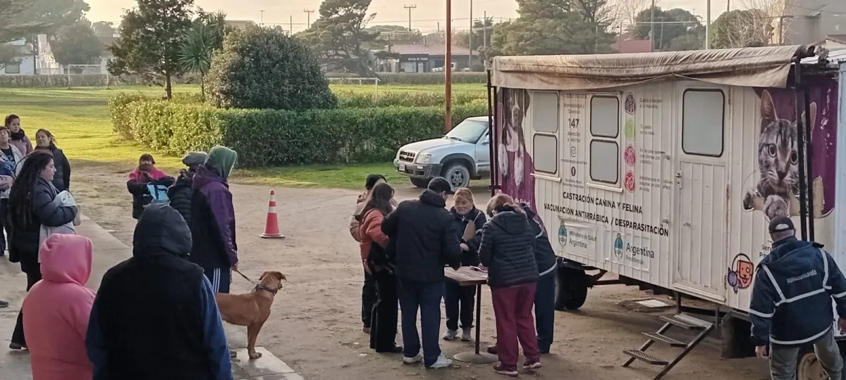 Castración masiva de mascotas y cambio temporal de quirófano en Necochea