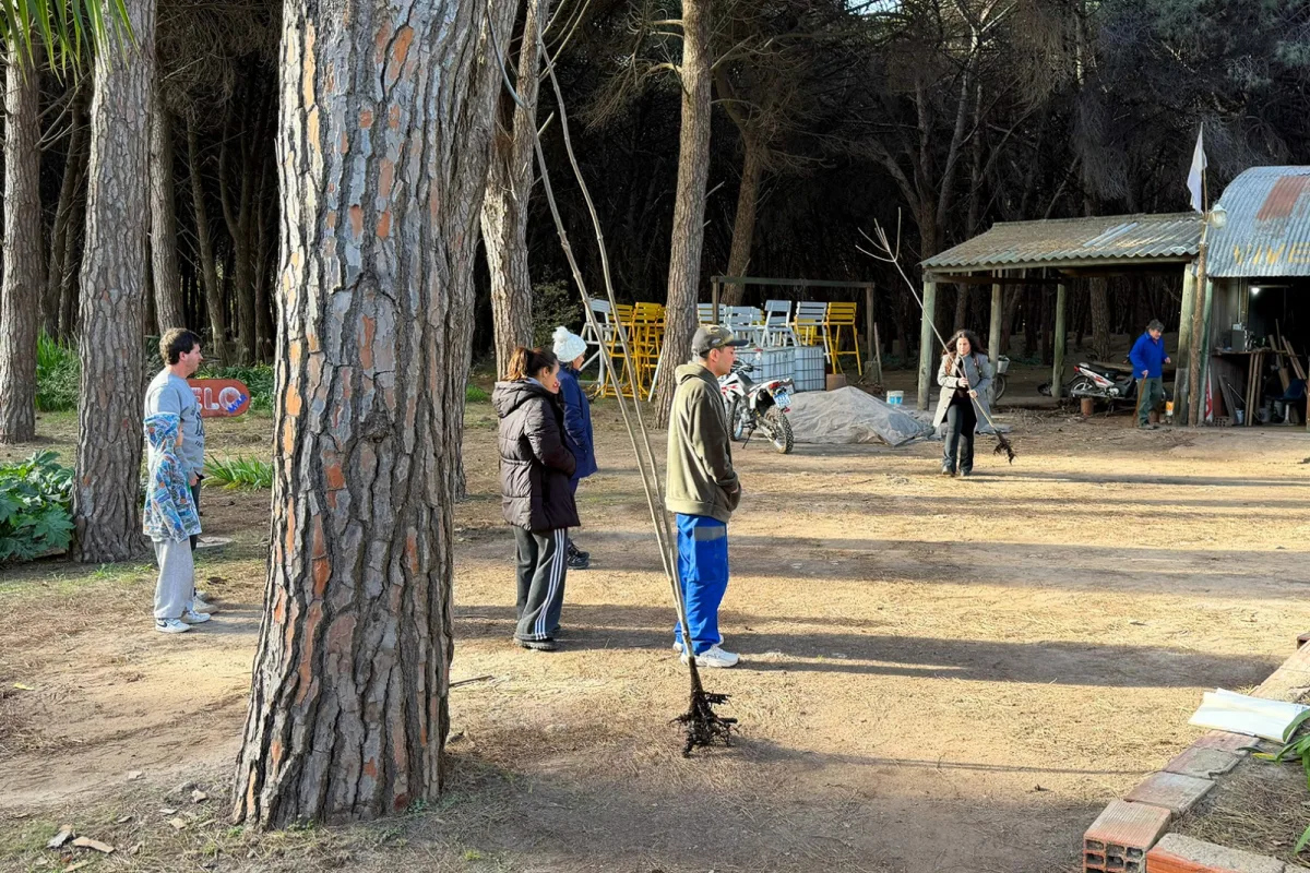 Continúa la entrega gratuita de árboles en Necochea