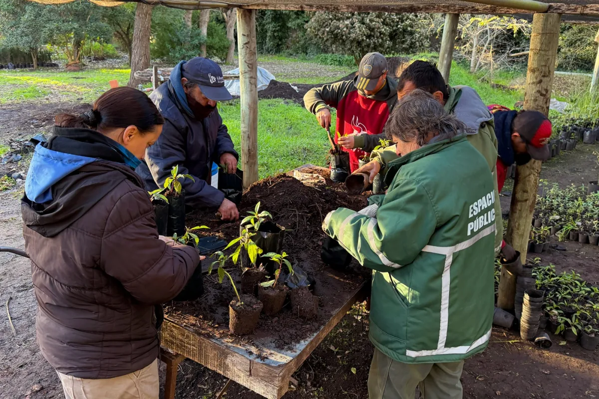 El Vivero Municipal impulsa un Necochea más verde y cuidado