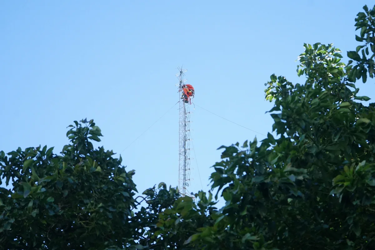 Iniciaron trabajos para desmantelar antena en el Palacio Municipal