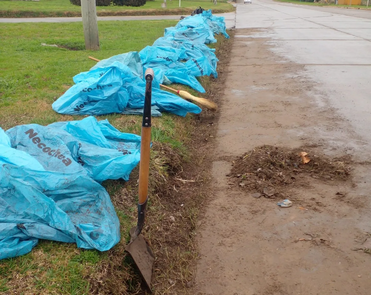Mejoras en limpieza y mantenimiento urbano en Necochea