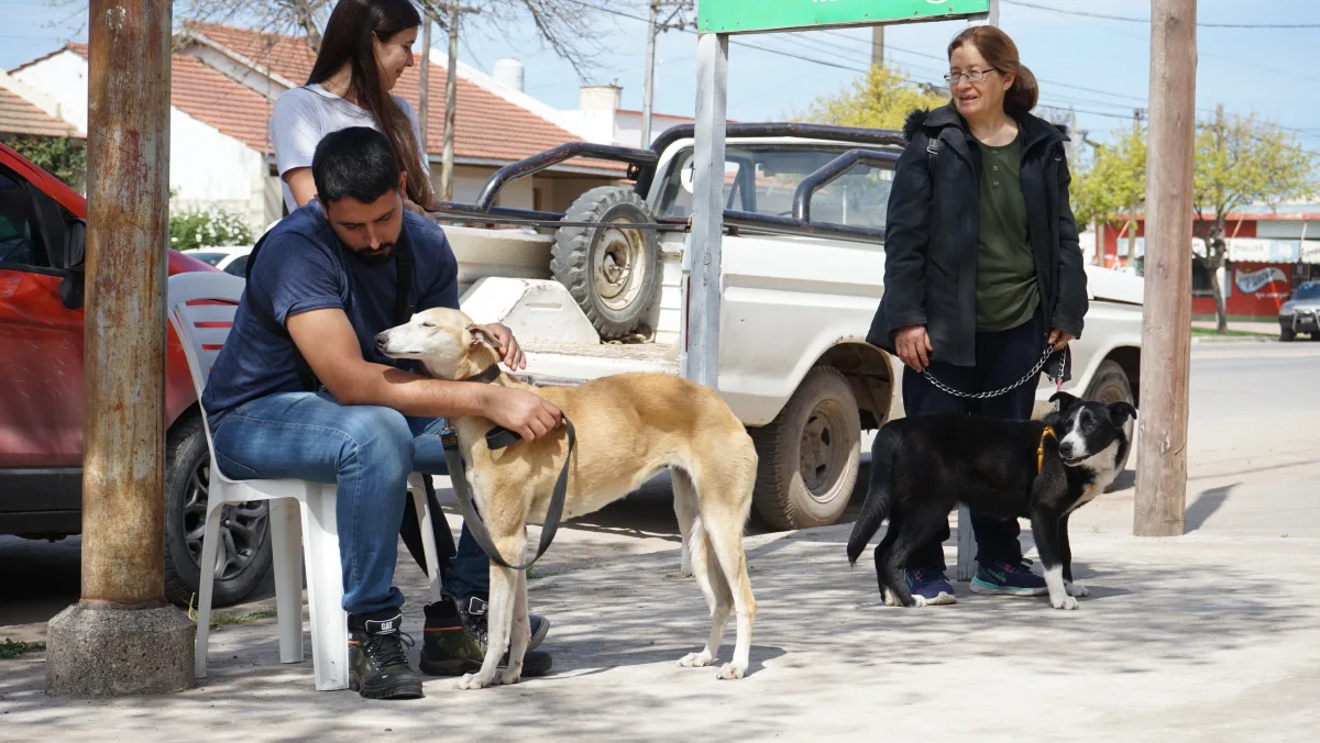 Nueva jornada de castración gratuita para mascotas en Necochea