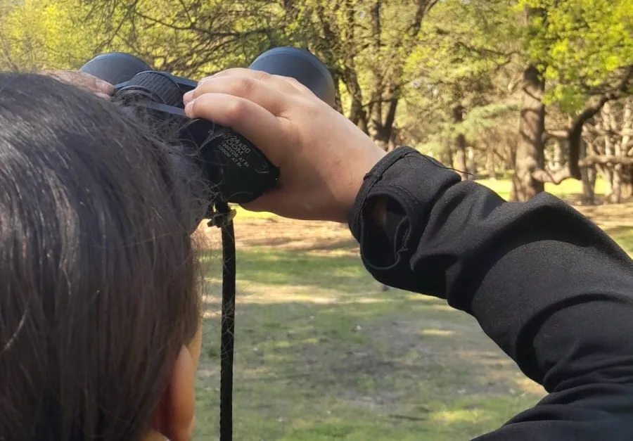 Salida gratuita de observación de aves en el Parque Miguel Lillo