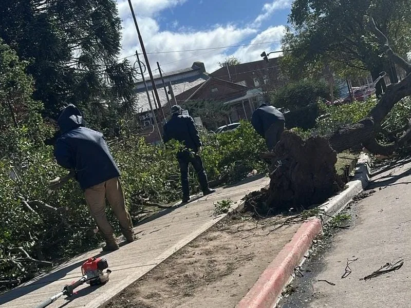Trabajos en Villa María tras caída de más de 20 árboles