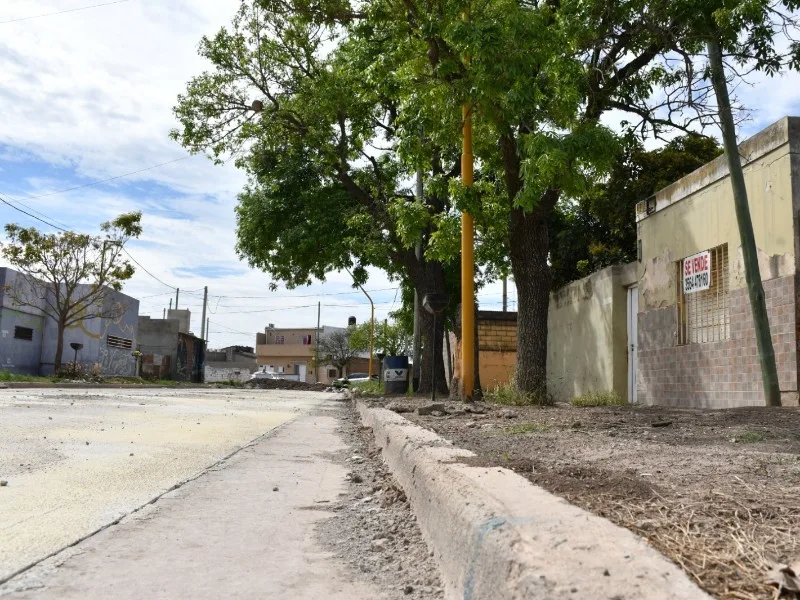 Barrio Parque casi completo: 98% de pavimentación