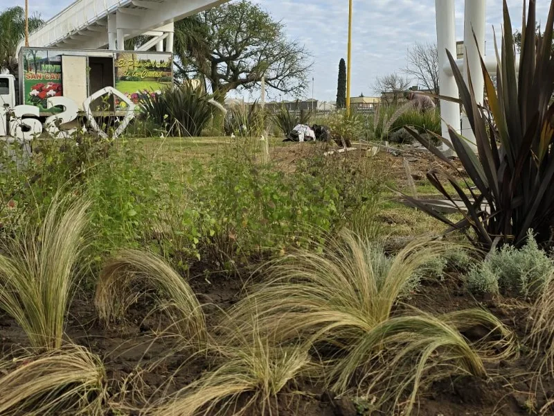 El bulevar 9 de Julio se transforma con nuevos senderos y vegetación
