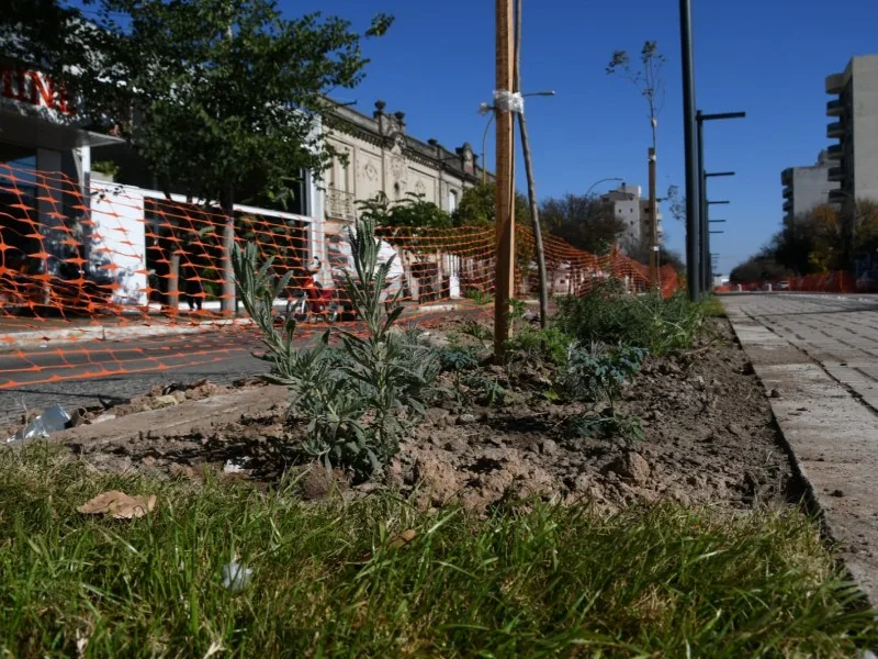 San Francisco abrirá senda peatonal y bicisenda el 7 de junio