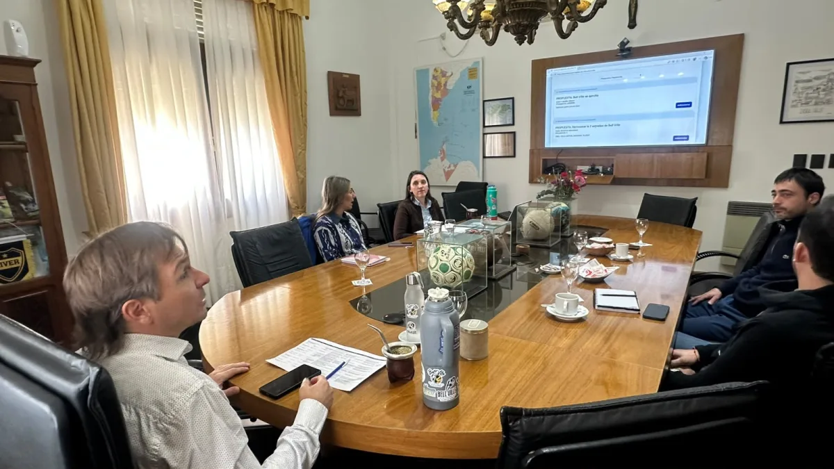 Análisis de 29 proyectos para el Presupuesto Participativo 2026