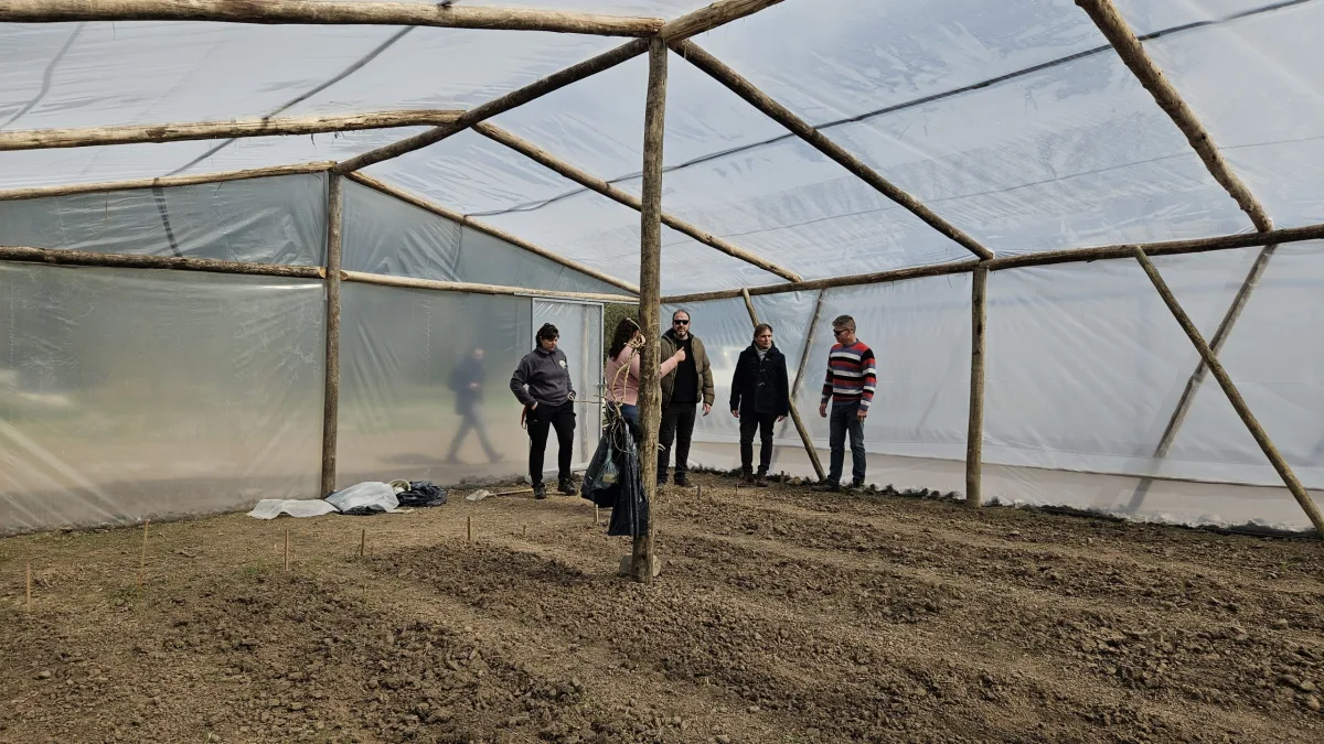 Avanza la construcción del quinto invernadero en Bell Ville