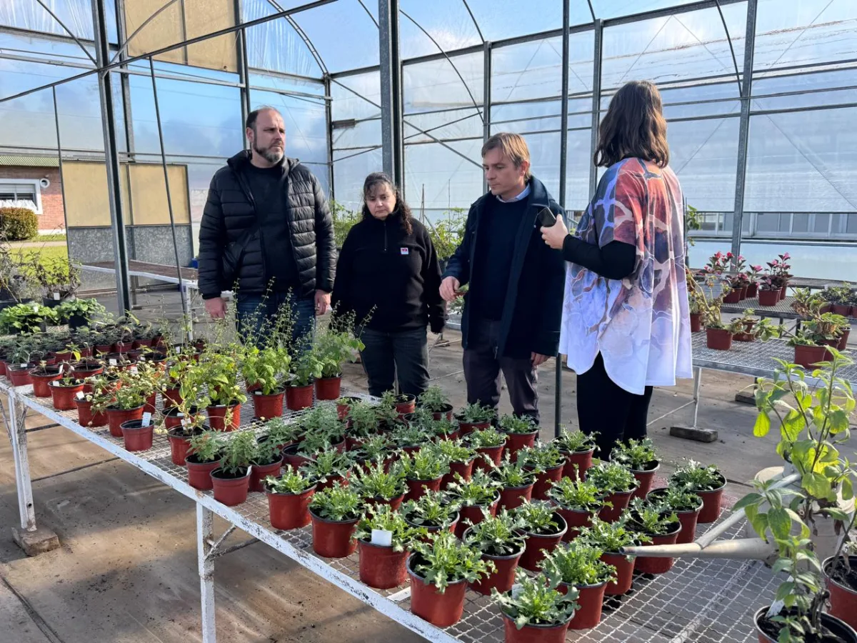 Bell Ville avanza en producción de flores con visita a INTA