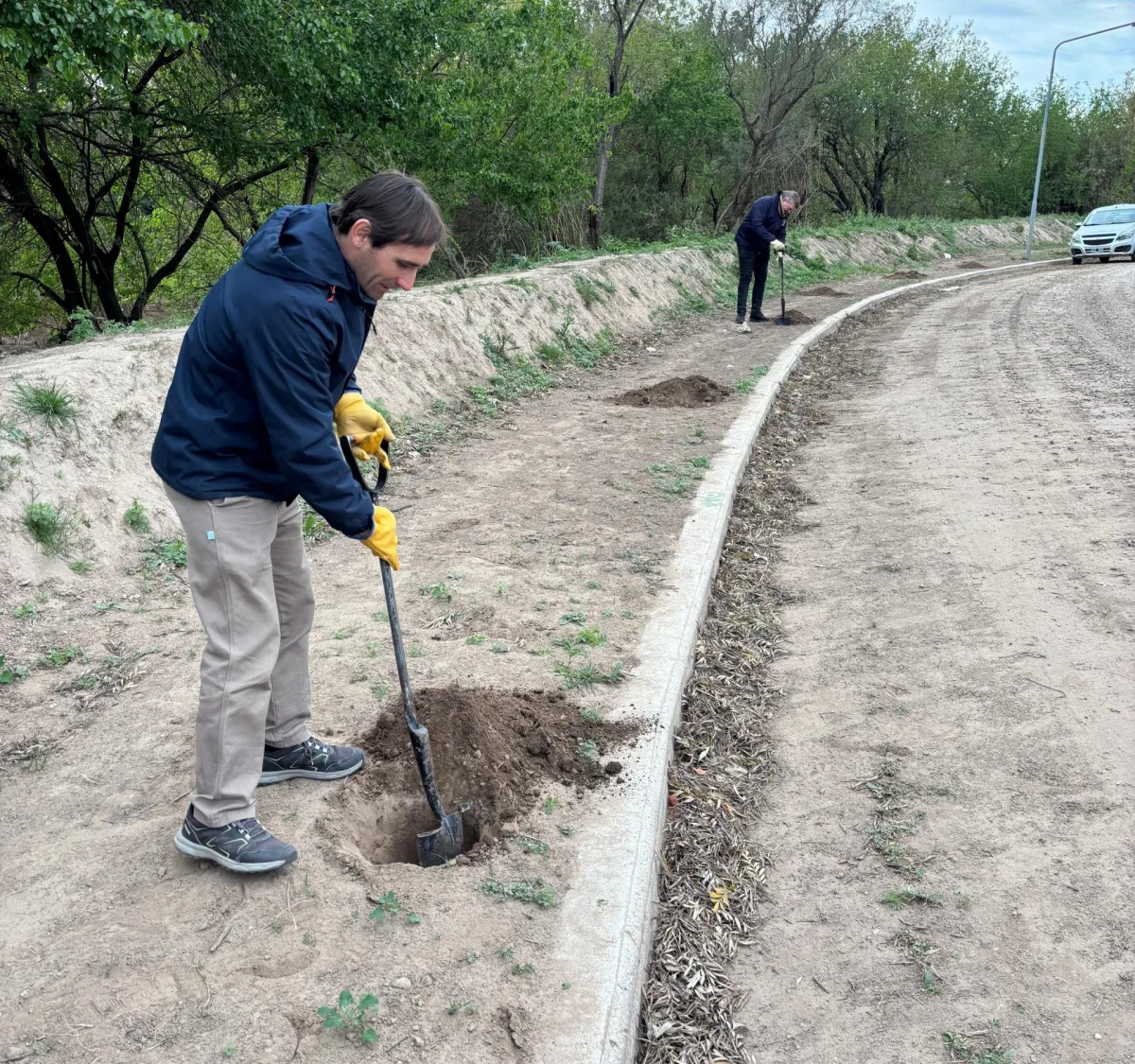 Bell Ville suma más de 600 árboles para mejorar el entorno urbano