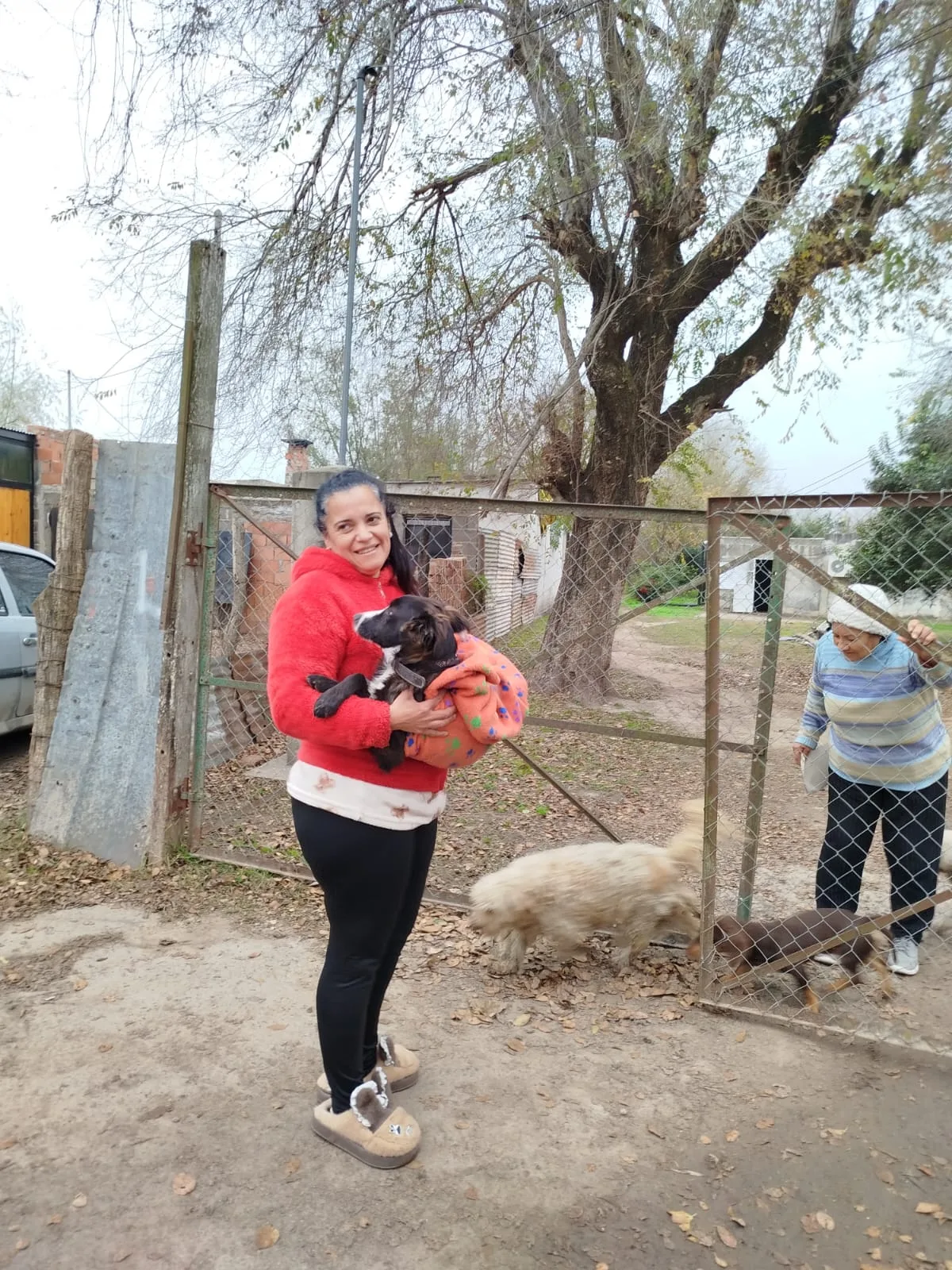 Castración gratuita de mascotas en Villa Carlitos y Jardín