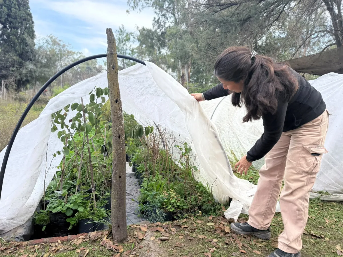 El Vivero Municipal ofrece nueva variedad de plantas a la venta