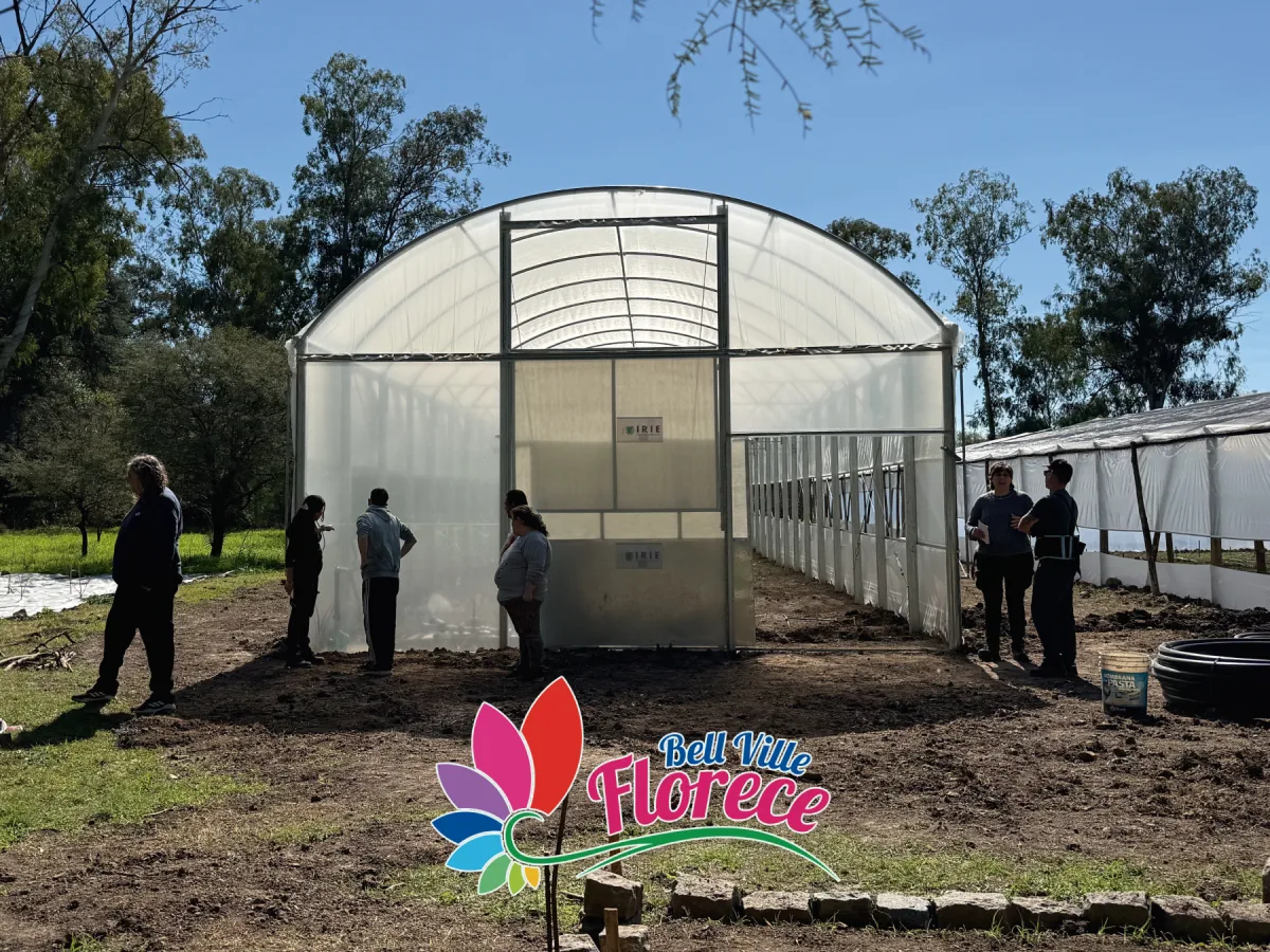 Invernaderos de Bell Ville Florece listos para producir flores