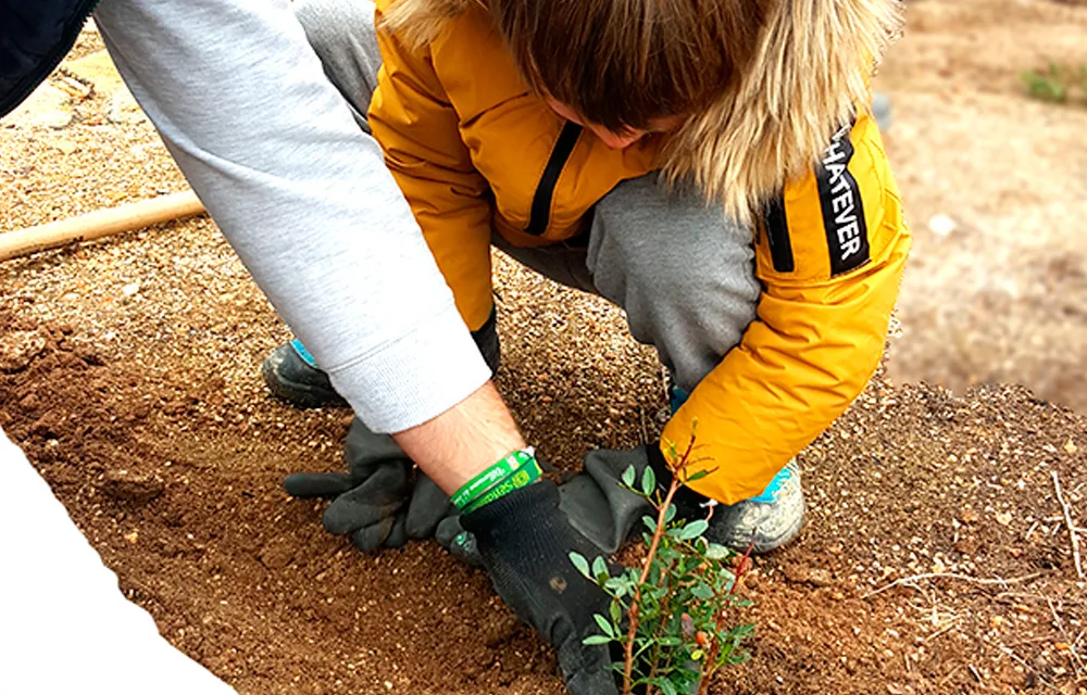 Jornada de reforestación en Bell Ville por el Día del Árbol