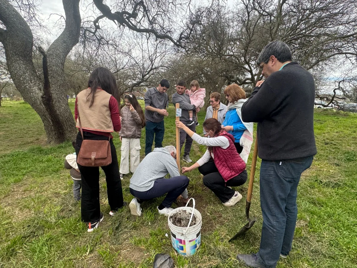 Reforestación en Bell Ville: Plantá tu árbol el 19 de septiembre