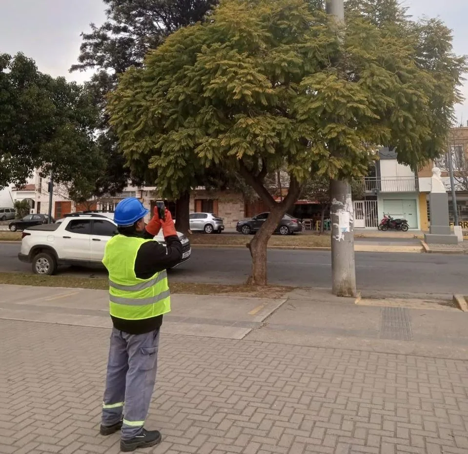 Relevamiento de postes eléctricos en Bell Ville desde el 22 de junio