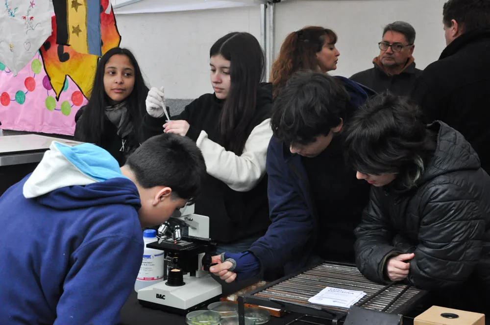 Estudiantes de primaria participaron en la Expo Educativa del Distrito Sur