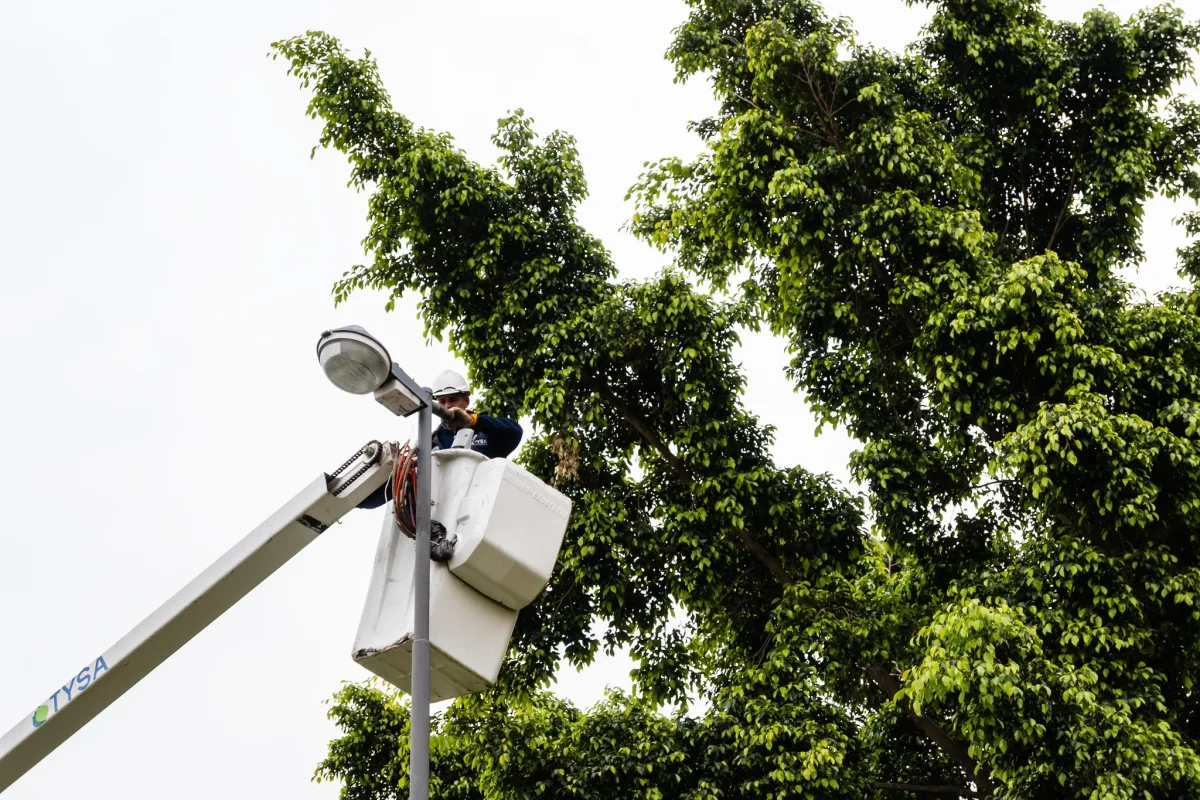 La ciudad avanzó en la instalación de 1.602 luces led en mayo