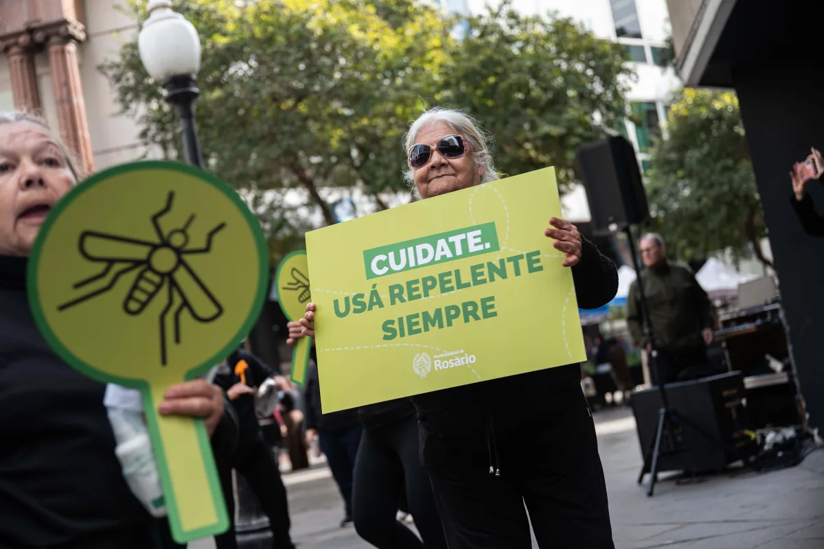 Prevención del dengue: acciones del municipio y balance positivo