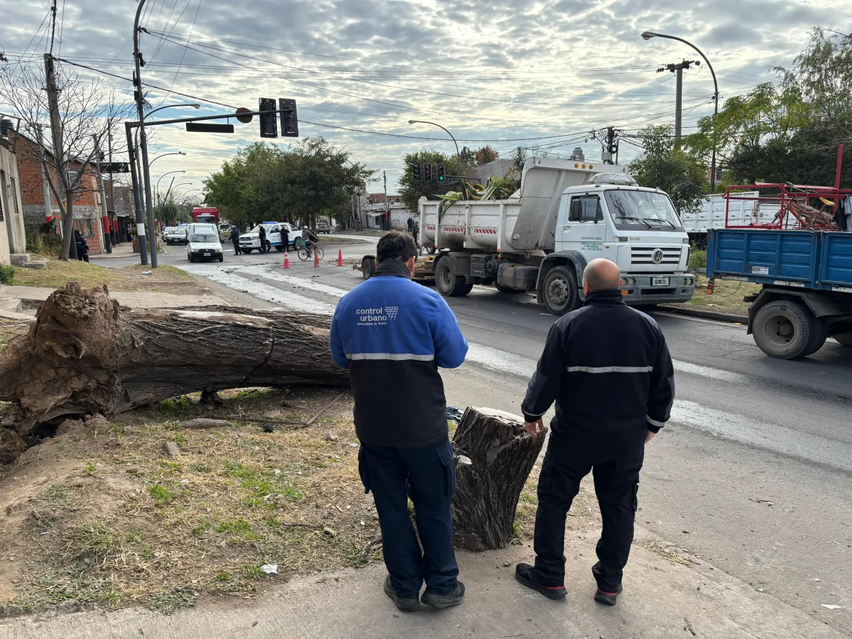 Rosario limpió más de 2.000 espacios públicos en el primer trimestre