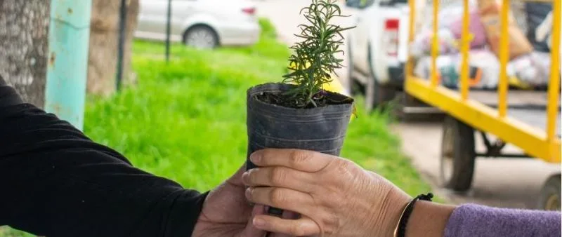 Eco Canje en Santo Tomé: fechas y lugares de octubre