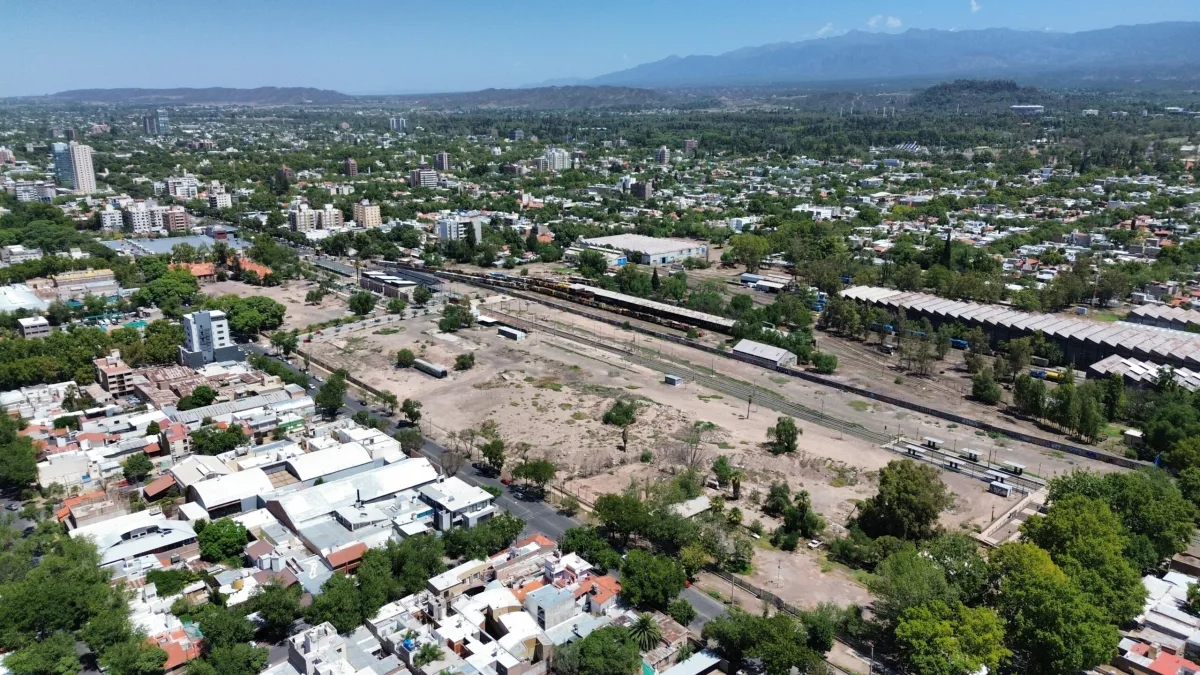 Servicios de salud animal gratuitos en Mendoza durante octubre