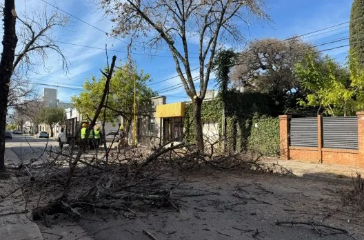 Continúa la poda invernal en Doello Jurado hacia la Costanera
