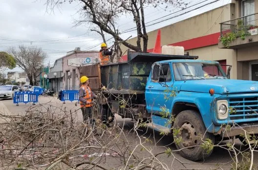 Continúan los trabajos de poda invernal en el microcentro de Gualeguaychú