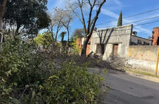 Continuará la poda invernal en Doello Jurado y Chacabuco