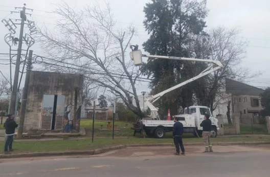 Corte de energía en Urquiza por caída de árbol sobre línea eléctrica