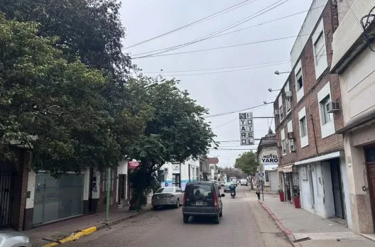 Cortes momentáneos en San Martín por poda este jueves