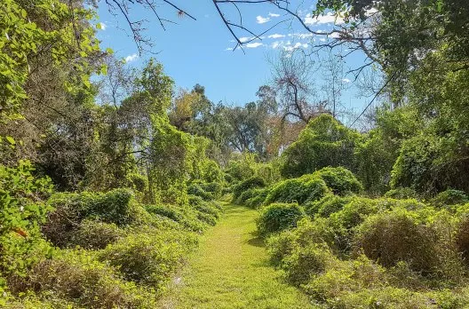 Gualeguaychú conmemora el Día Internacional de los Pueblos Indígenas