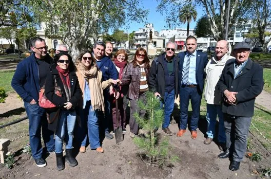 Gualeguaychú planta un nuevo retoño del Pino de San Lorenzo