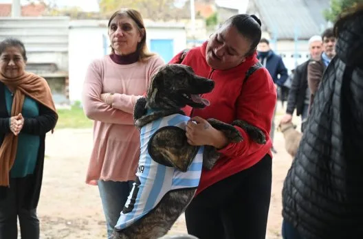 Gualeguaychú vacunó a 67 mascotas en jornada antirrábica gratuita