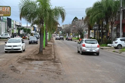 Mejoras en el boulevard Daneri: nivelaron 2 kilómetros de canteros