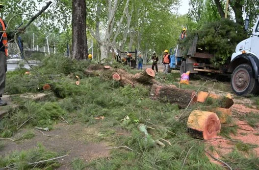 Mejoras en la Costanera Sur: nuevo acceso y sendero peatonal