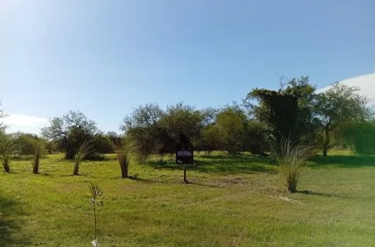 Nuevo programa para cuidar los pastizales del Parque Florístico