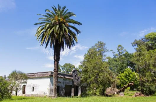 Recorrida guiada por la Reserva Natural Las Piedras este sábado