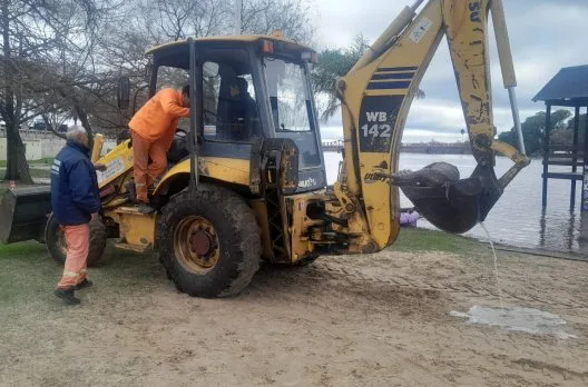 Retiro de ciervo muerto del río Gualeguaychú en operativo conjunto