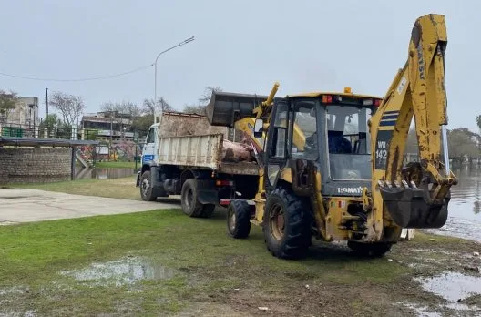 Retiro de una vaca muerta del río Gualeguaychú