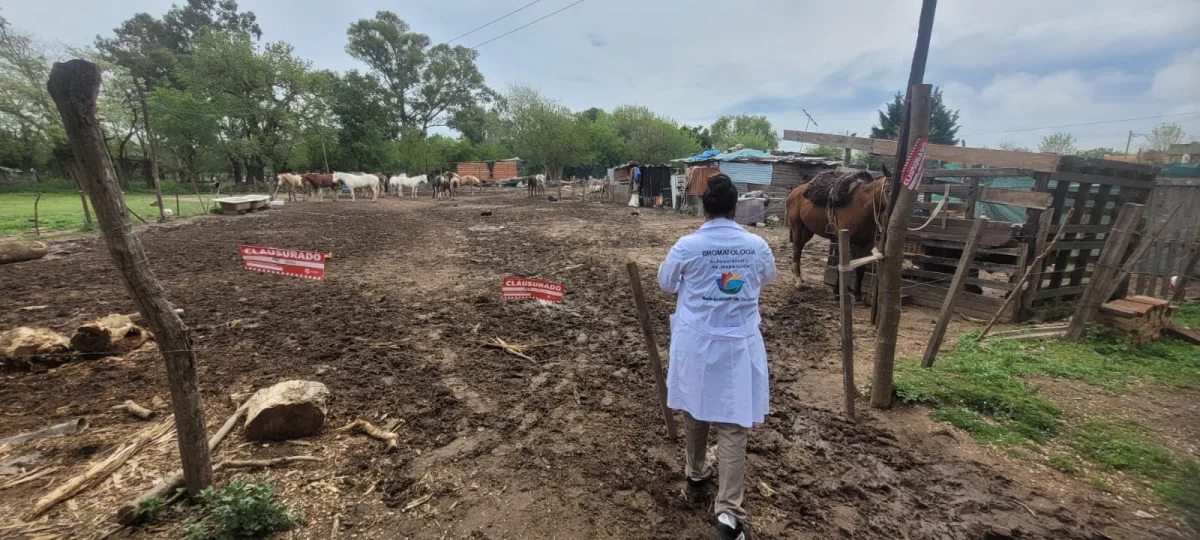Clausuran predio en Belén de Escobar por funcionar sin habilitación